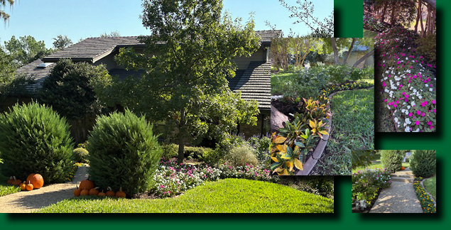 October Yard of the Month