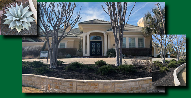 February Yard of the Month